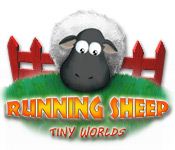 񱼵ССС硷Running Sheep: Tiny WorldsӲ̰ ⰲװ