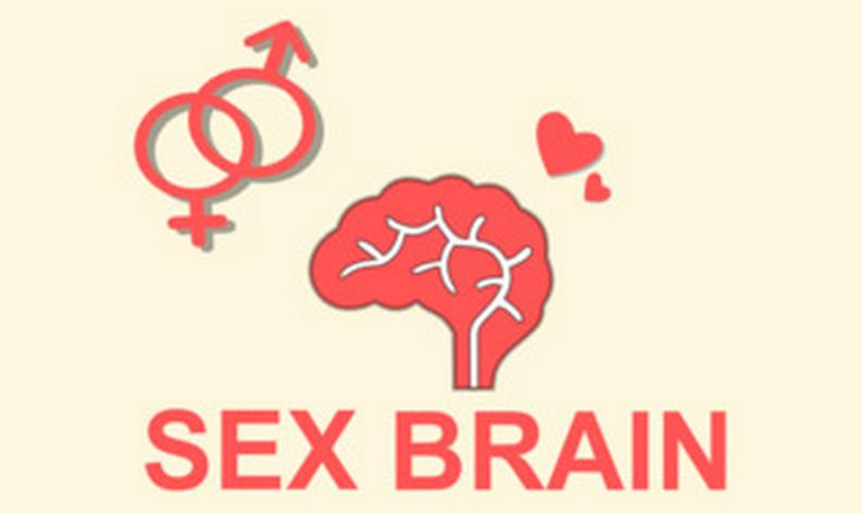 SexBrain⣺û뵽game[ͼ]