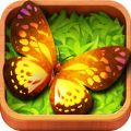 Butterfly GOƽ