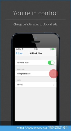 Adblock Plus IOSͼ5