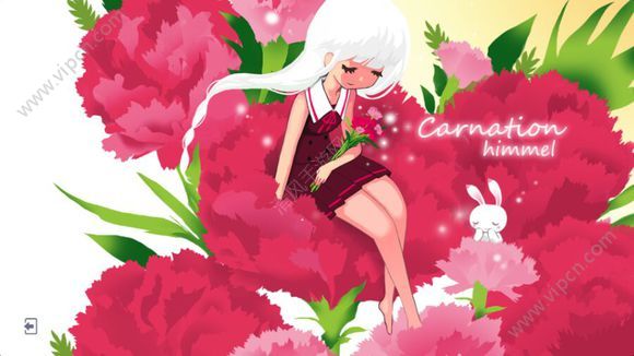 voezĿʾ Carnationʾ[Ƶ][ͼ]ͼƬ1