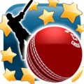 ǰĺ棨New Star Cricket  v1.0