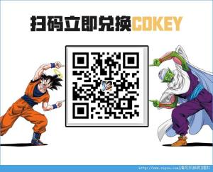 鼤CDkeyôһ CDkeyһͼƬ1