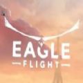 ӥVRѰ棨Eagle Flight  v1.0