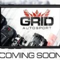 ˶ֻ׿棨GRID Autosport  v1.0