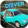 εδģֻϷ׿棨Driver Simulator  v1.0.11