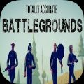 Totally Accurate Battlegroundsʽ  v1.11