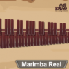 Marimba Real׿