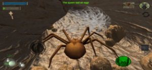 ֩ȺģϷƻ棨Spider Colony Simulator ͼƬ2