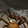 ֩ȺģϷƻ棨Spider Colony Simulator  v1.0
