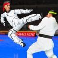 Ŀֵ2020Ϸ׿ֻ棨Real Karate Fight Punch 2020 v1.0