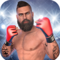 MMA񶷳ͻϷֻ  v1.34