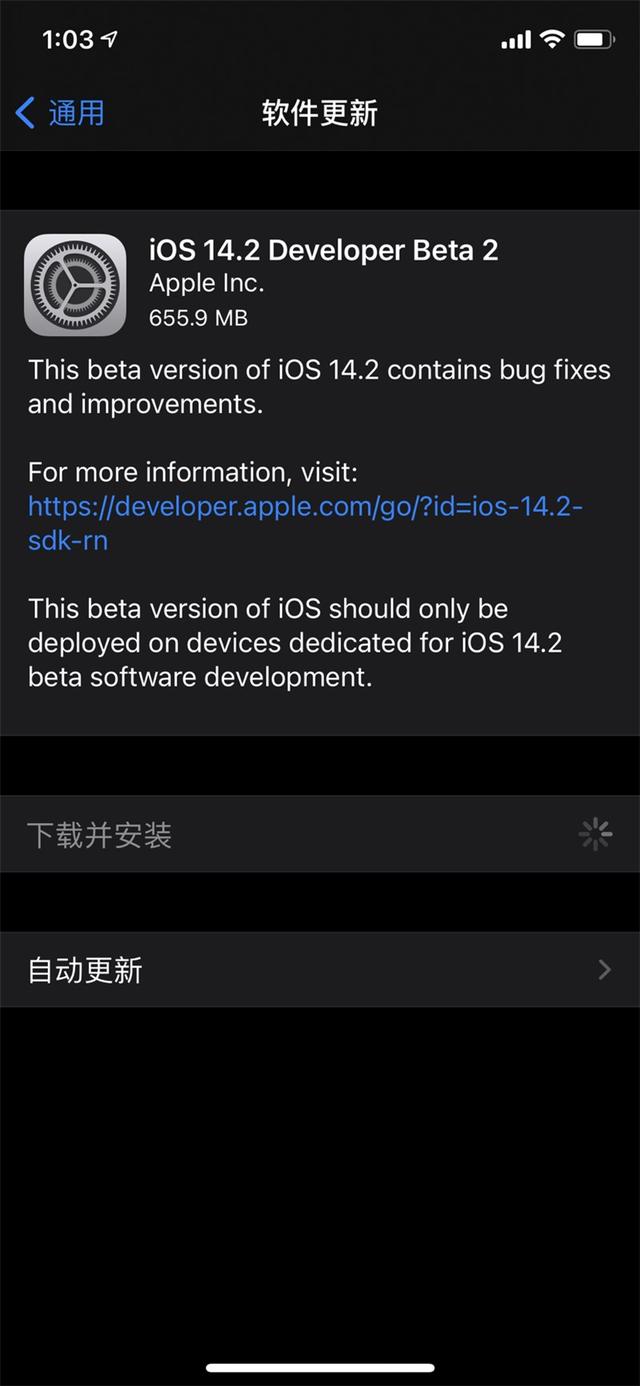 iOS14.2 beta2ļͼƬ1