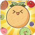 Fruit Merge Drop Saga Mod Apk