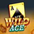 Wild Ace jili slot apk para android  1.0.0