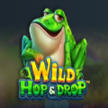 Wild Hop Drop slot apk para android  1.0