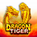 The Dragon Tiger slot apk para android  1.0.0