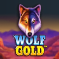 Wolf Gold slot apk para android  1.0