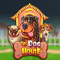 The Dog House slot apk para an