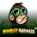 Monkey Madness slot apk para android  1.0.0