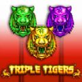 Triple Tigers slot apk para android  1.0.0