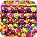 Magic Fruits apk download para android 1.0