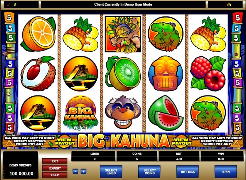 Big Kahuna slot apk para android  1.0.0 screenshot 2