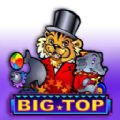 Big Top slot apk para android  1.0.0