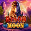 Bison Moon slot apk para android  1.0.0