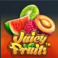 Juicy Fruits slot apk para android  1.0.0