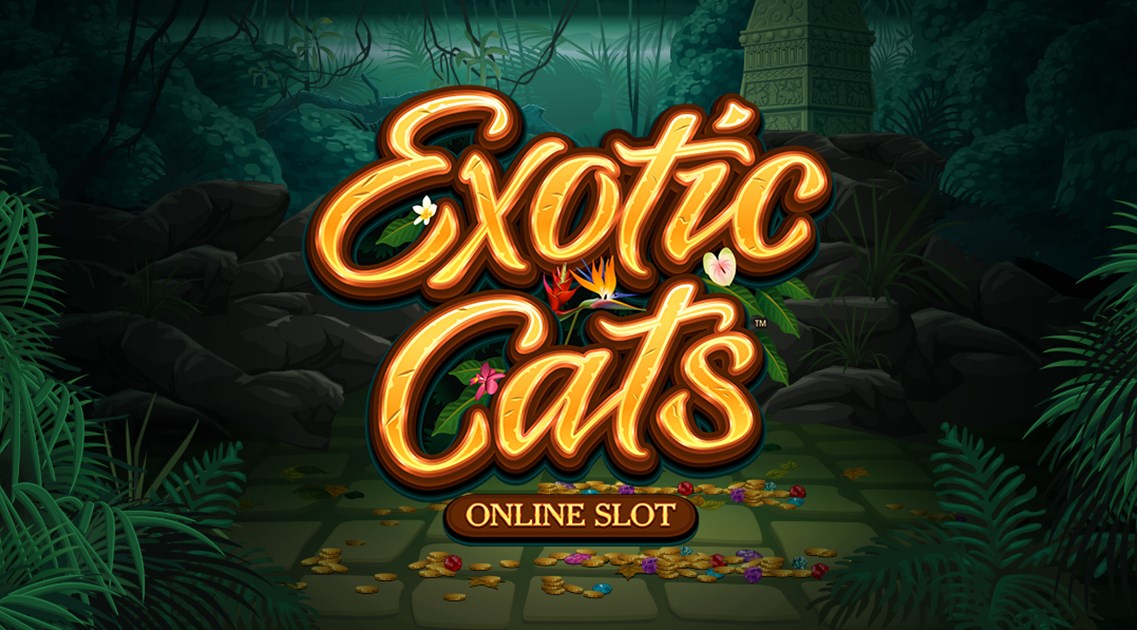 Exotic Cats slot apk para android图片1