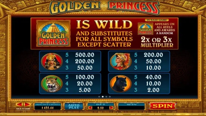 Golden Princess slot apk para android  1.0.0 screenshot 2