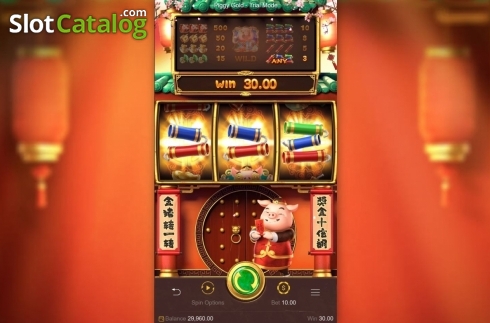 Piggy Gold Slot Free Full Game  v1.0 screenshot 3