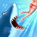 Hungry Shark Evolution Ataque dinheiro infinito apk 11.5.0 última versão  11.5.0