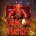 Dragon Hatch slot apk para android  1.0.0