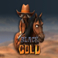 Black Gold slot apk para android  1.0