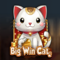 Big Win Cat slot apk para android  1.0